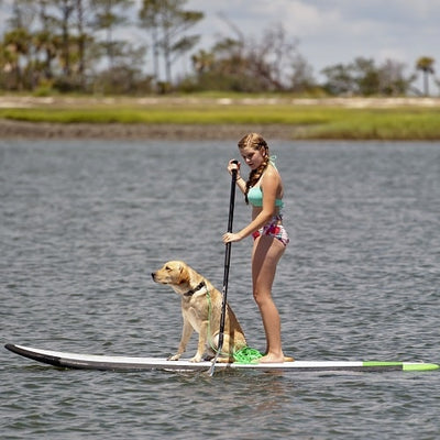 The 4 Best Places To Go Paddle Boarding in Georgia